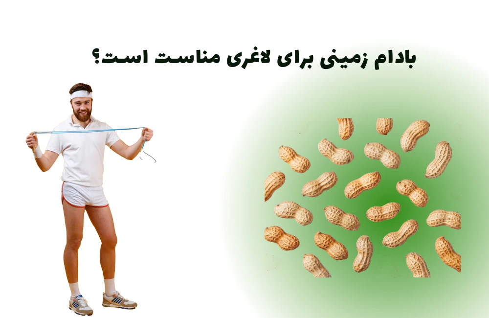 بادام زمینی برای لاغری مناست است؟-بادام زمینی برای لاغری-فواید بادام زمینی برای لاغری