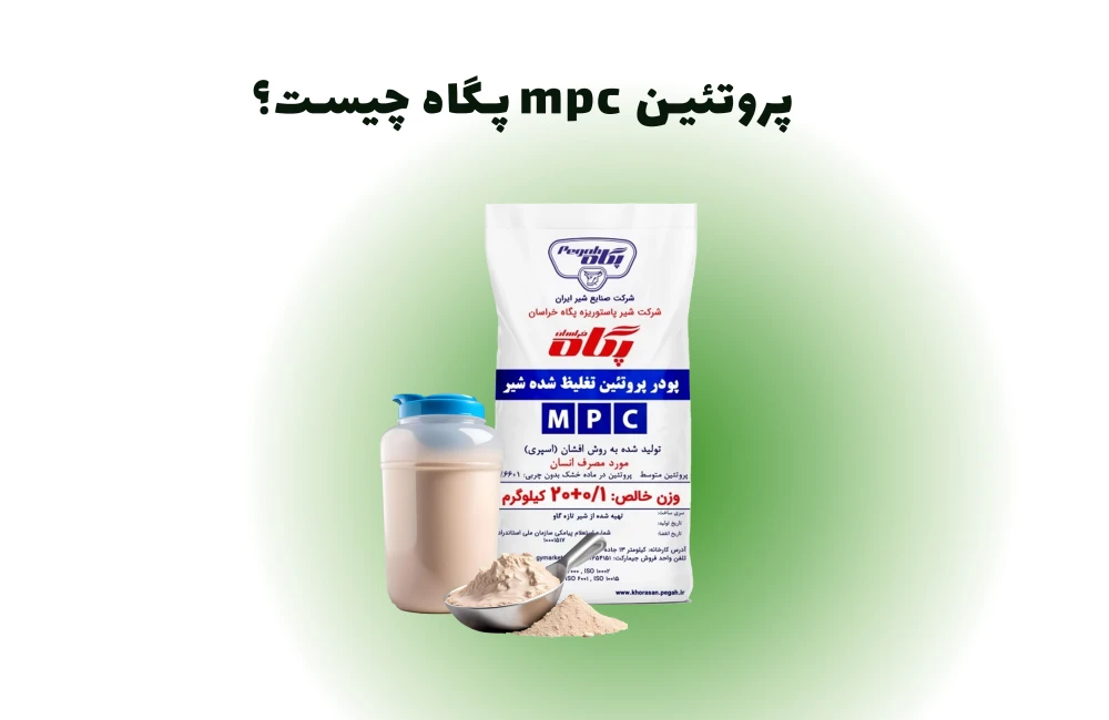 پودر پروتئین شیر کنسانتره پگاه چیست؟-پروتئین mpc پگاه چیست؟