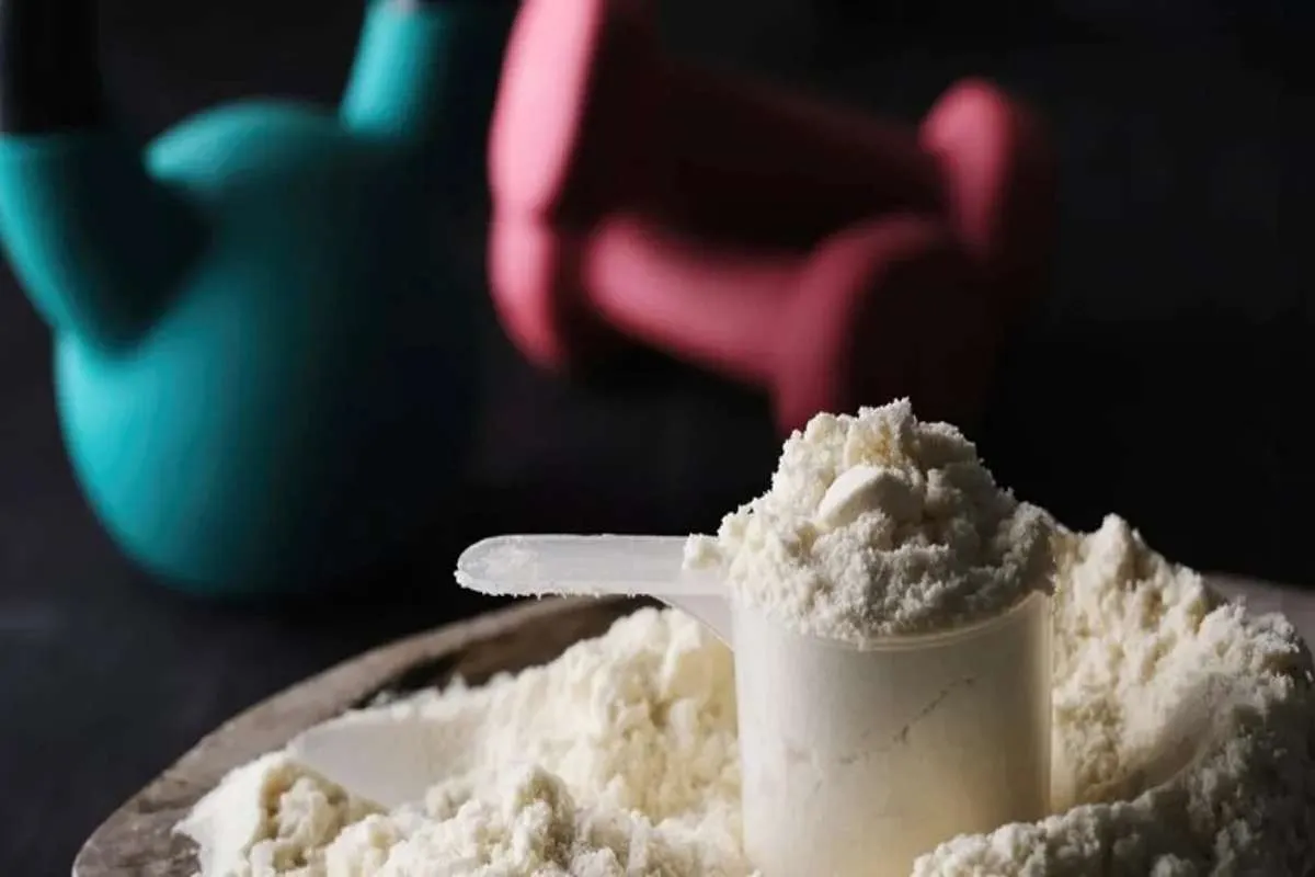 مواد تشکیل دهنده mpc-ترکیبات پروتئین شیر-پروتئین شیر پگاه-پروتئین پگاه-توی دایت