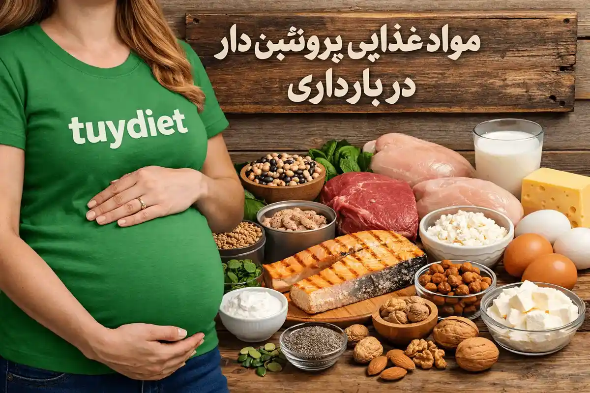 مواد غذایی پروتئین دار در بارداری-مواد غذایی پروتئین دار-توی دایت